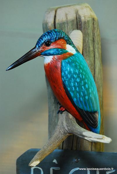 DSC_1121.JPG