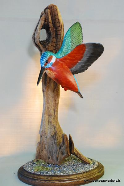 DSC_1122.JPG