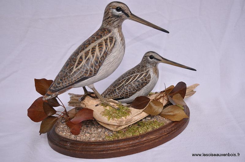 Becassine_05_couple.JPG