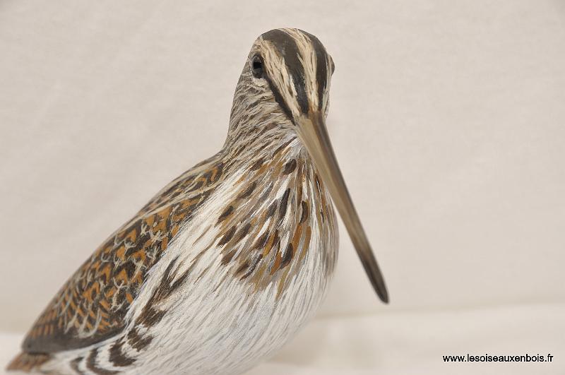Becassine_8_détail.JPG