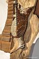 Bcasse_Nature_morte_01_détail