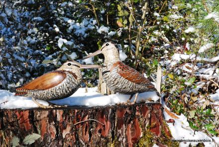 Bcasse dans la neige en bois sucuplt et peinte  la main par Eric GERARD.